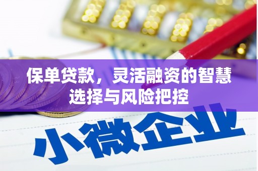 锡林浩特保单贷款，灵活融资的智慧选择与风险把控