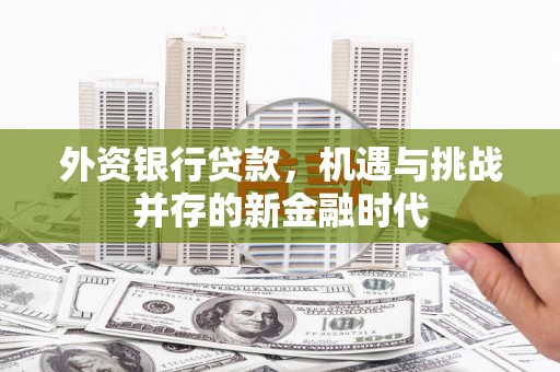 锡林浩特外资银行贷款，机遇与挑战并存的新金融时代