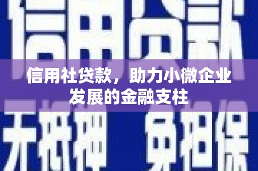 锡林浩特信用社贷款，助力小微企业发展的金融支柱