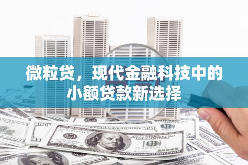 锡林浩特微粒贷，现代金融科技中的小额贷款新选择