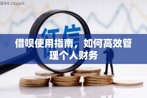 锡林浩特借呗使用指南，如何高效管理个人财务