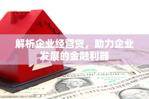 锡林浩特解析企业经营贷，助力企业发展的金融利器
