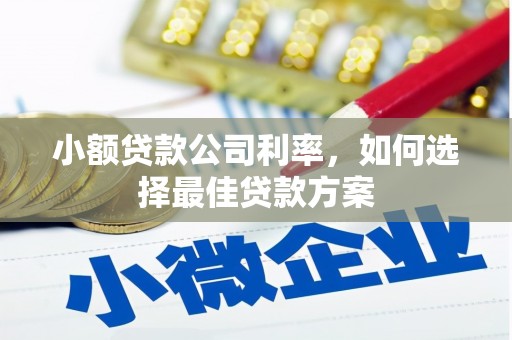 锡林浩特小额贷款公司利率，如何选择最佳贷款方案