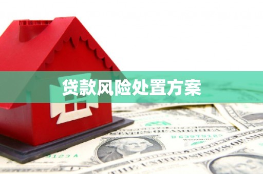 锡林浩特贷款风险处置方案