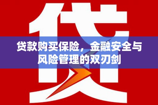 锡林浩特贷款购买保险，金融安全与风险管理的双刃剑