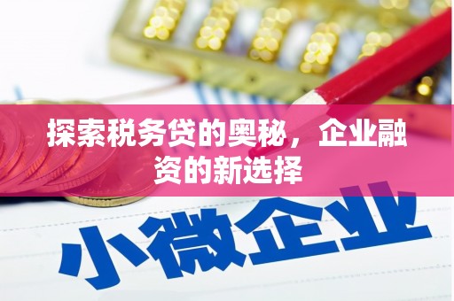 锡林浩特探索税务贷的奥秘，企业融资的新选择