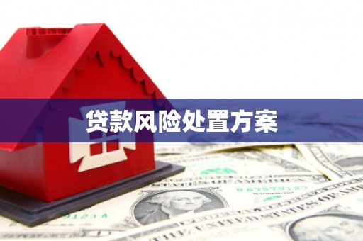 锡林浩特贷款风险处置方案