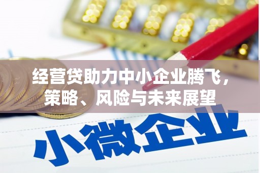 锡林浩特经营贷助力中小企业腾飞，策略、风险与未来展望