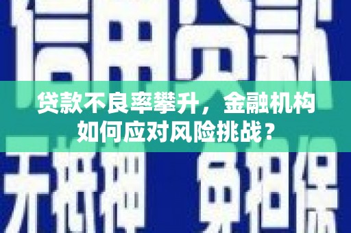 锡林浩特贷款不良率攀升，金融机构如何应对风险挑战？