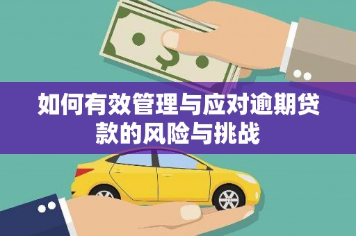 锡林浩特如何有效管理与应对逾期贷款的风险与挑战