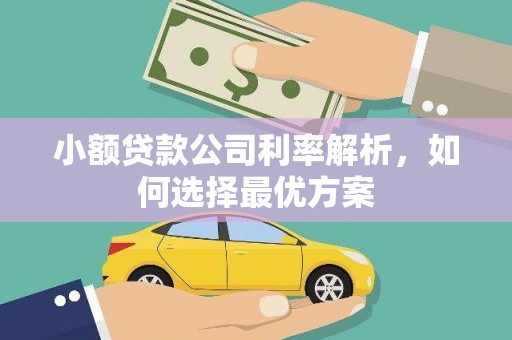 锡林浩特小额贷款公司利率解析，如何选择最优方案