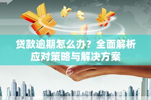 锡林浩特贷款逾期怎么办？全面解析应对策略与解决方案