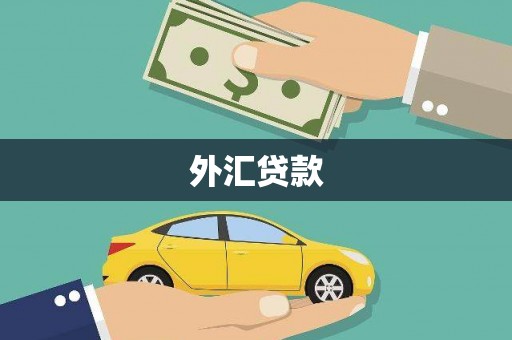 锡林浩特外汇贷款