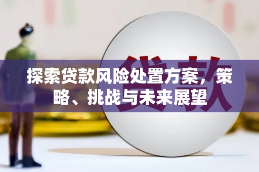 锡林浩特探索贷款风险处置方案，策略、挑战与未来展望
