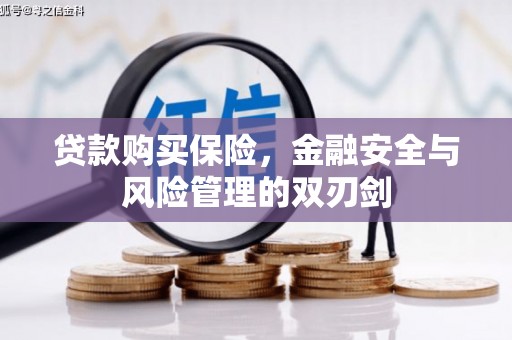 锡林浩特贷款购买保险，金融安全与风险管理的双刃剑