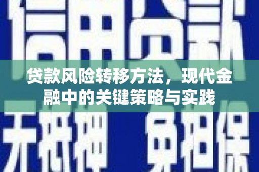 锡林浩特贷款风险转移方法，现代金融中的关键策略与实践