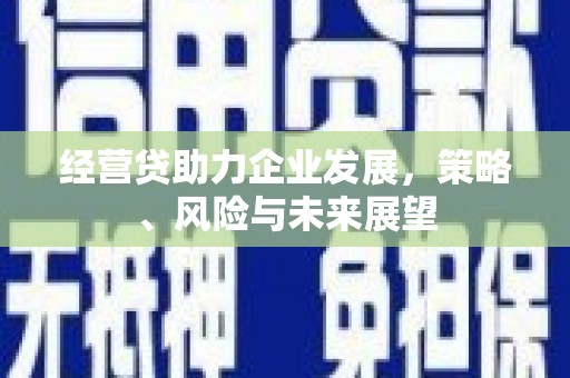 锡林浩特经营贷助力企业发展，策略、风险与未来展望