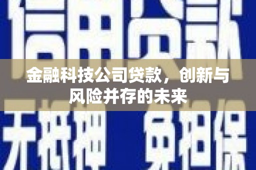 锡林浩特金融科技公司贷款，创新与风险并存的未来