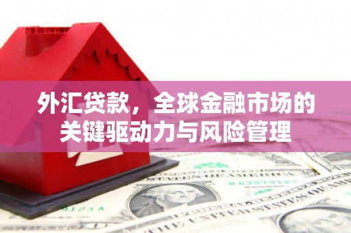 锡林浩特外汇贷款，全球金融市场的关键驱动力与风险管理
