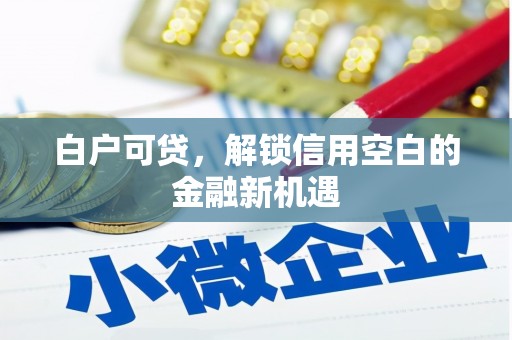 锡林浩特白户可贷，解锁信用空白的金融新机遇