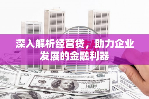 锡林浩特深入解析经营贷，助力企业发展的金融利器