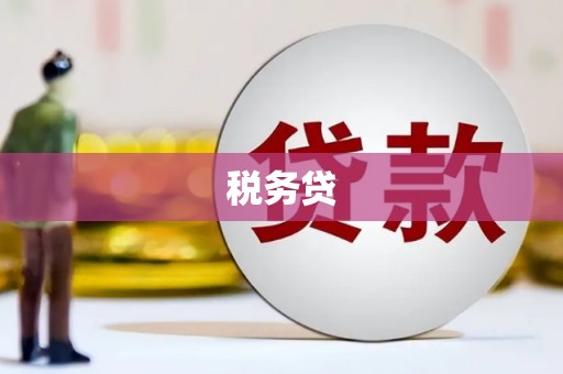 锡林浩特税务贷