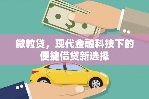 锡林浩特微粒贷，现代金融科技下的便捷借贷新选择