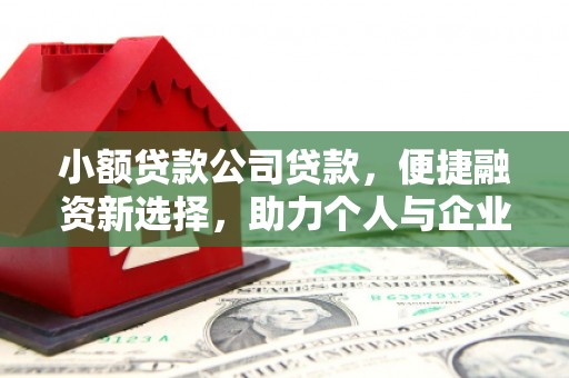 锡林浩特小额贷款公司贷款，便捷融资新选择，助力个人与企业成长