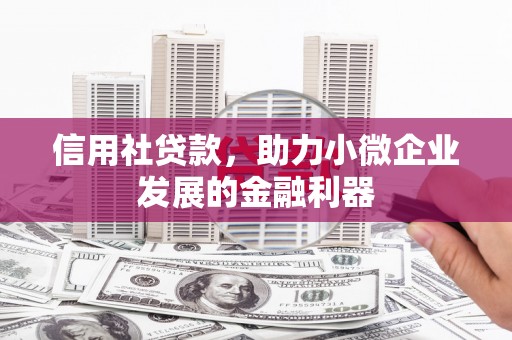 锡林浩特信用社贷款，助力小微企业发展的金融利器