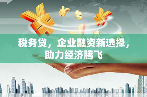 锡林浩特税务贷，企业融资新选择，助力经济腾飞