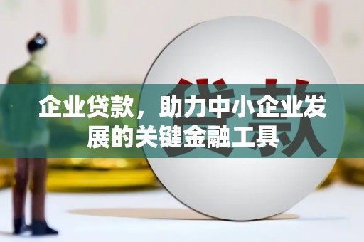 锡林浩特企业贷款，助力中小企业发展的关键金融工具