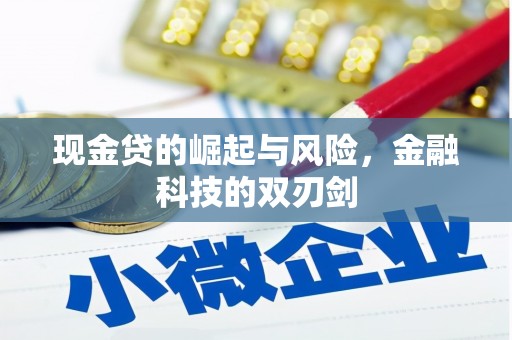 锡林浩特现金贷的崛起与风险，金融科技的双刃剑