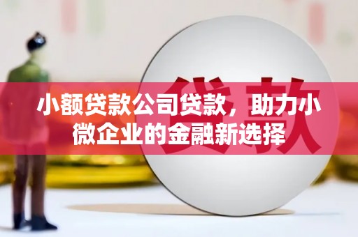 锡林浩特小额贷款公司贷款，助力小微企业的金融新选择
