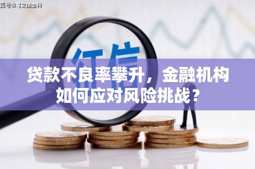 锡林浩特贷款不良率攀升，金融机构如何应对风险挑战？