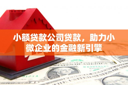 锡林浩特小额贷款公司贷款，助力小微企业的金融新引擎