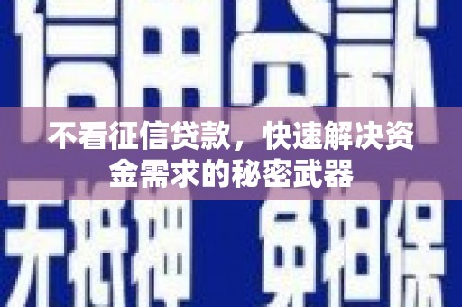 锡林浩特不看征信贷款，快速解决资金需求的秘密武器