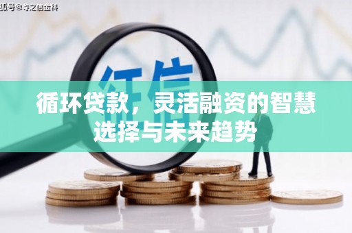 锡林浩特循环贷款，灵活融资的智慧选择与未来趋势