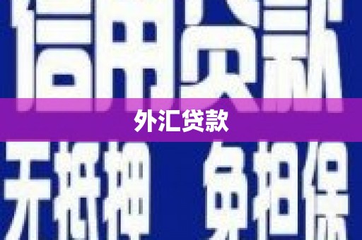 锡林浩特外汇贷款