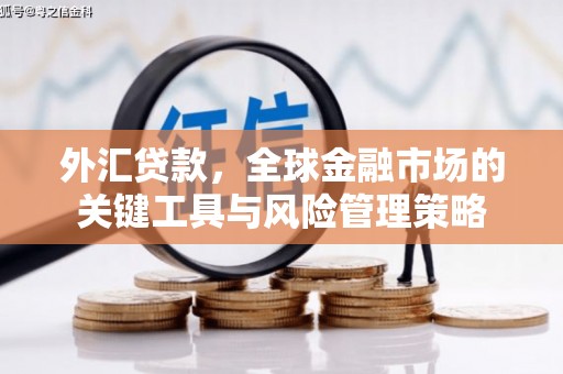 锡林浩特外汇贷款，全球金融市场的关键工具与风险管理策略
