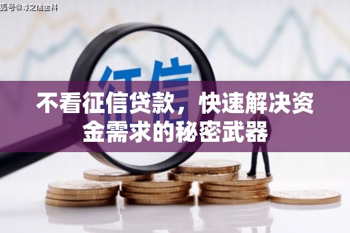 锡林浩特不看征信贷款，快速解决资金需求的秘密武器