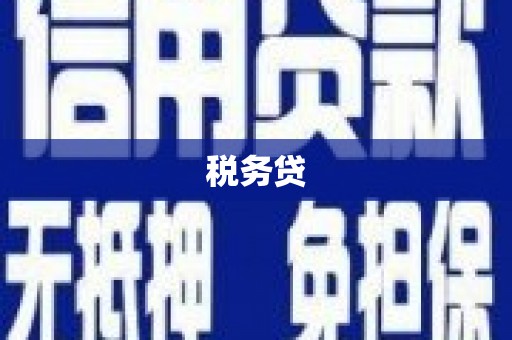 锡林浩特税务贷