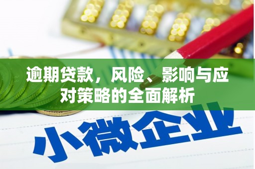 锡林浩特逾期贷款，风险、影响与应对策略的全面解析