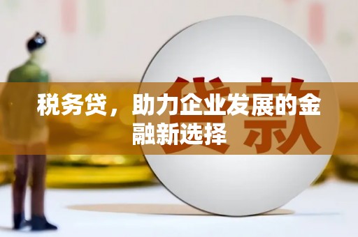 锡林浩特税务贷，助力企业发展的金融新选择