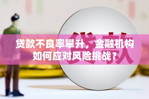 锡林浩特贷款不良率攀升，金融机构如何应对风险挑战？