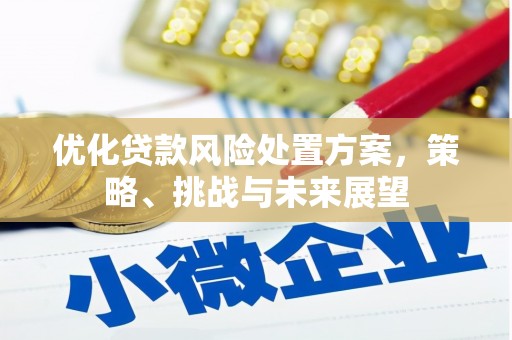 锡林浩特优化贷款风险处置方案，策略、挑战与未来展望