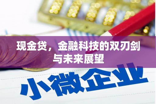 锡林浩特现金贷，金融科技的双刃剑与未来展望
