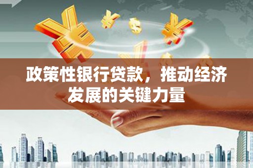 锡林浩特政策性银行贷款，推动经济发展的关键力量