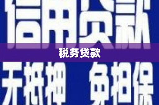 锡林浩特税务贷款