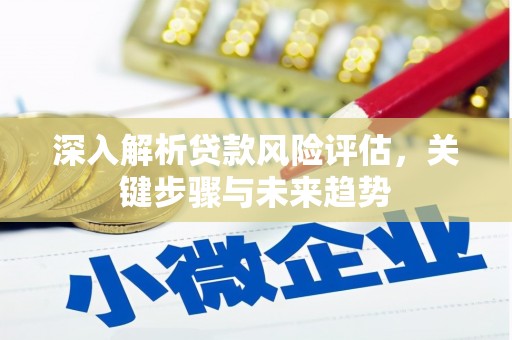 锡林浩特深入解析贷款风险评估，关键步骤与未来趋势