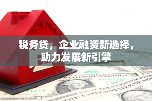 锡林浩特税务贷，企业融资新选择，助力发展新引擎